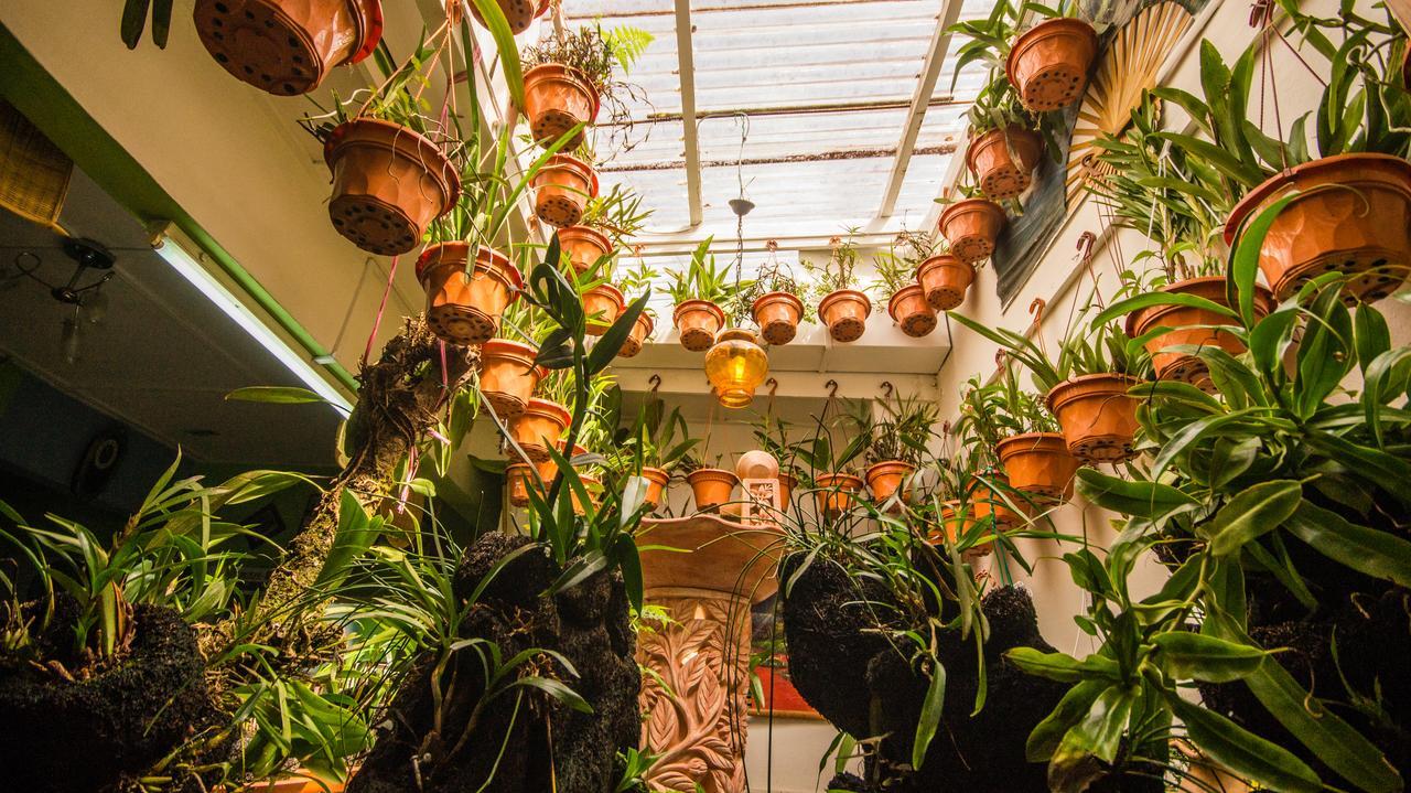 Orchid Haven Hostel Камерън Хайлендс Екстериор снимка